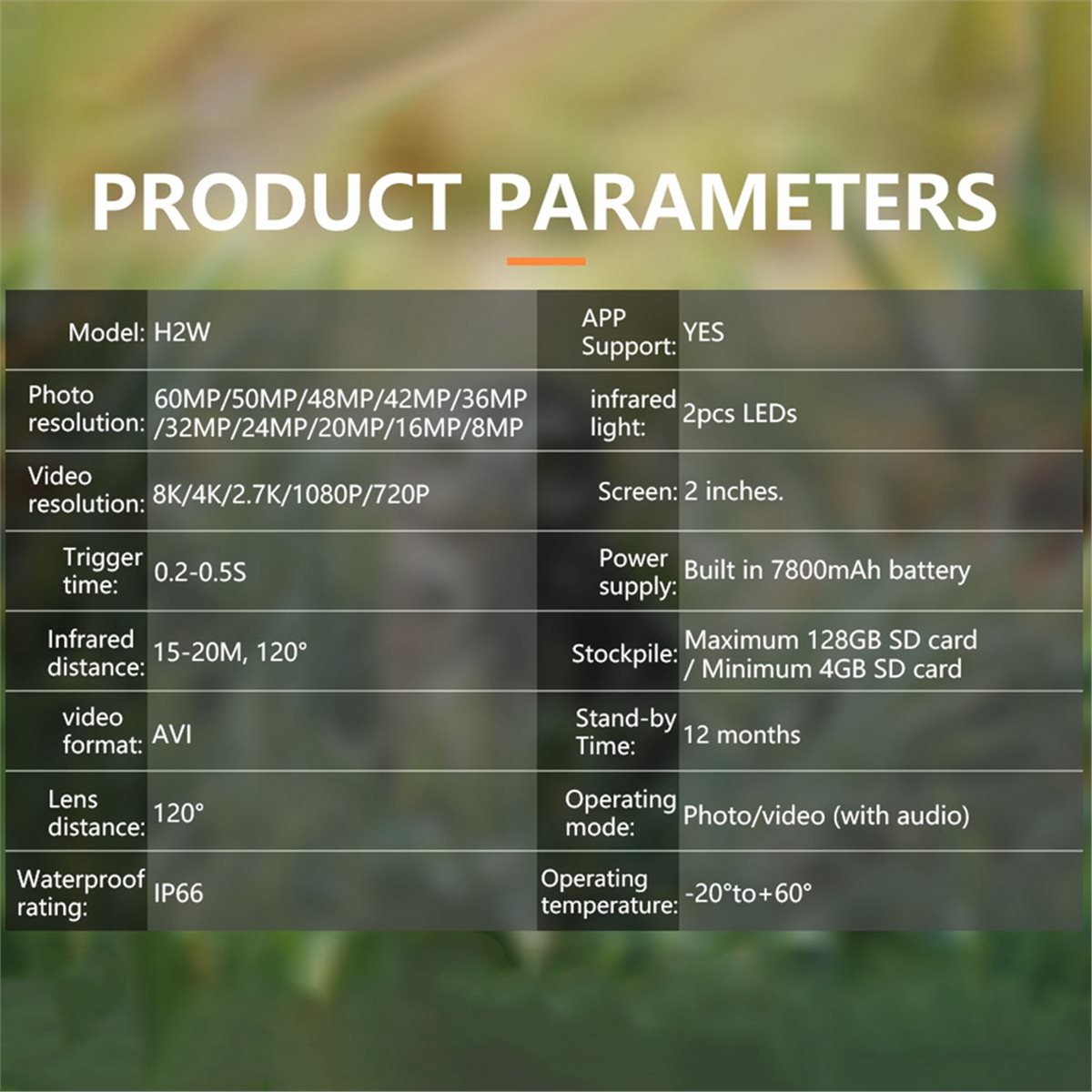 AS62 8K Av Kamerası HD Yaban H - Hunting Outdoor Rug incelemesi ve fiyatı